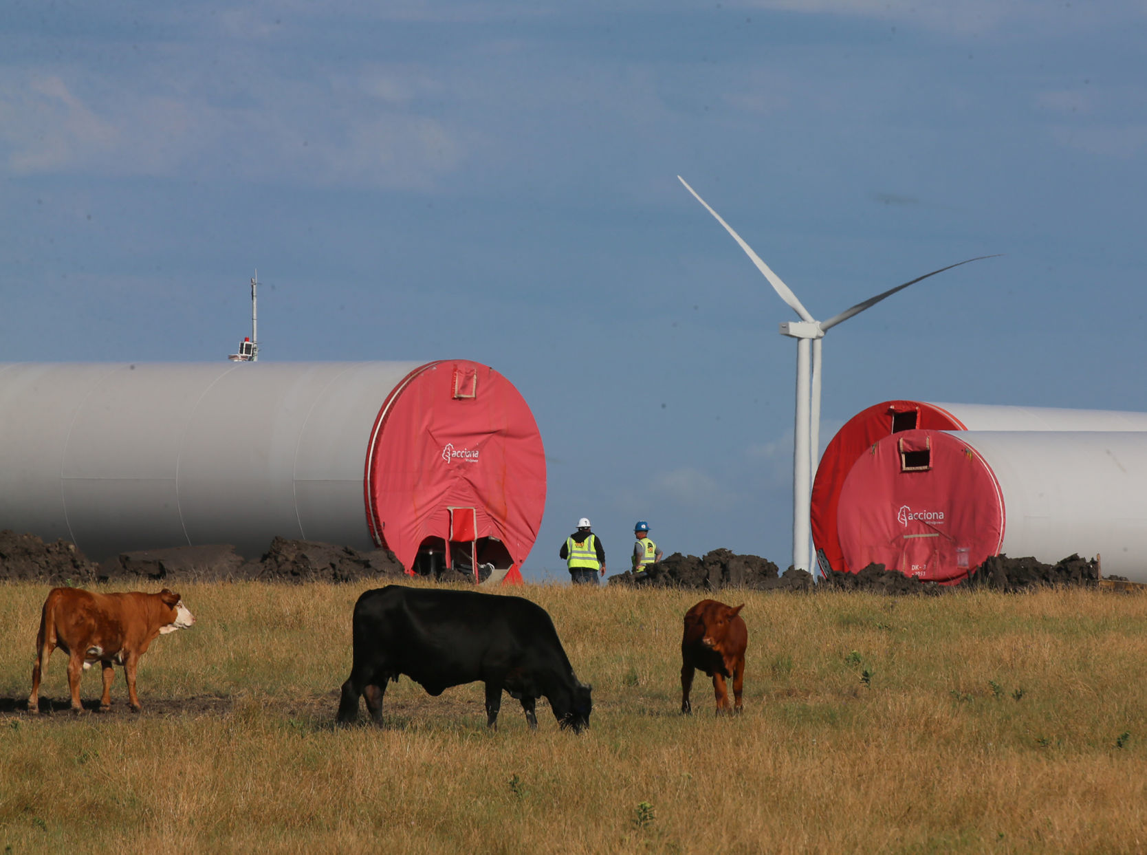 Mart wind